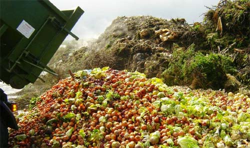 Estudo holandês aponta que um terço da comida produzida no mundo é desperdiçada