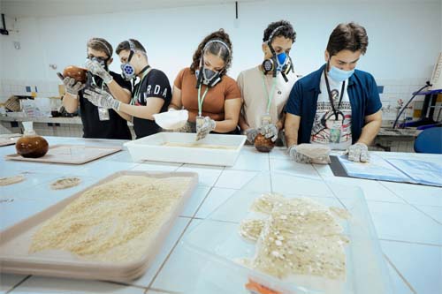 Escolas Públicas de Alagoas Avançam para a Maior Feira Científica Nacional