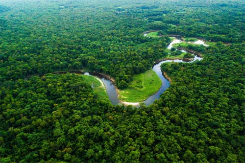 Amazônia perdeu 9,7% de sua vegetação natural em 37 anos