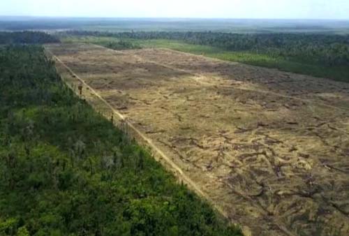 Depois da Alemanha, Noruega suspende financiamento do Fundo Amazônia