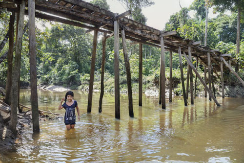 Pelos ‘prostibares’ da Amazônia, como funcionam as redes de prostituição na selva