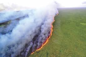 Pesquisadores temem explosão de desmatamento em 2020