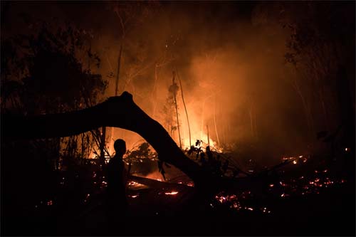 Outubro registra 13.911 focos de queimadas na Amazônia 