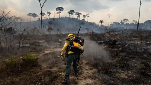 Desmatamento da Amazônia sobe 9,5% e atinge 11 mil km2