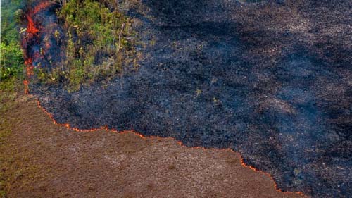 Pauta da Câmara deve focar equilíbrio fiscal e defesa do meio ambiente, diz Rodrigo Maia  Fonte: Agência Câmara de Notícias