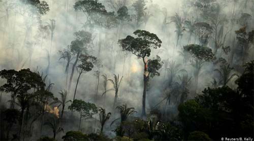 Governo federal proíbe queimadas por 120 dias na Amazonia Legal