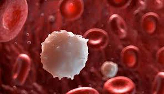 Ciência avança no tratamento da Talassemia, (anemia crônica) doença hematológica hereditária