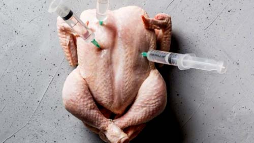 Por que uso de antibióticos na agropecuária preocupa médicos e cientistas