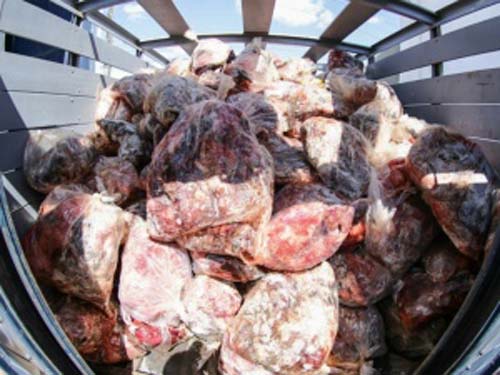 Mais de 3 toneladas de carne ilegal foram apreendidas em Alagoas em apenas 1 ano