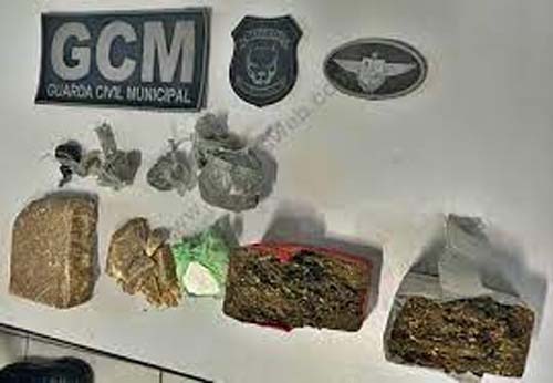 Mulher com criança de colo é presa transportando quase 1kg de drogas em Teotônio Vilela