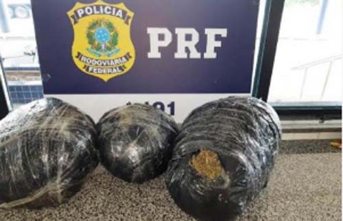 PRF flagra veículo transportando mais de 8kg de maconha na BR-423, em Canapi