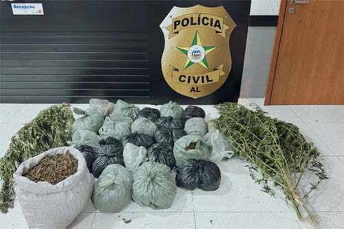 PC apreende 25 quilos de maconha e prende dois homens suspeitos por tráfico de drogas