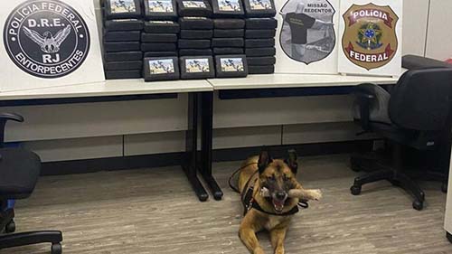 PF prende 4 mulheres com 88 kg de cocaína na Rodovia Presidente Dutra