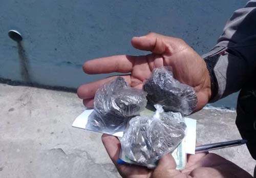 11 quilos de maconha são apreendidos em residência na parte alta de Maceió