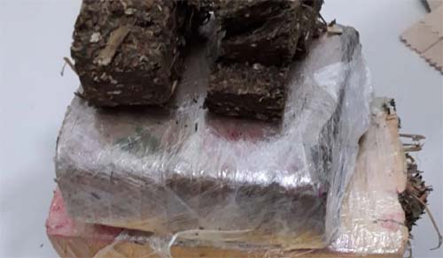 Polícia apreende quase oito quilos de maconha em Maceió