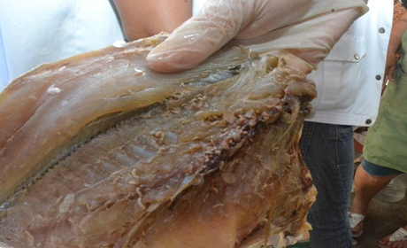 Carnes e peixes são comercializados com larvas em Joaquim Gomes, AL