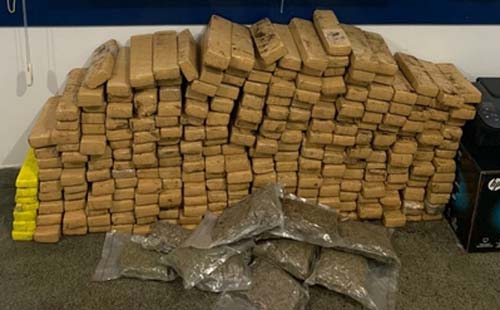 Homem é detido com mais de 180 quilos de maconha em ônibus clandestino a Alagoas na BR-116