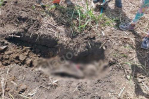 Corpo de jovem desaparecido é encontrado em cova rasa em São Miguel dos Campos