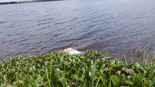 Corpo do sexo feminino é encontrado boiando no Lago da Perucaba