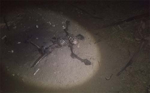 Populares encontram corpo de mulher com requintes de crueldade e acionam a PM