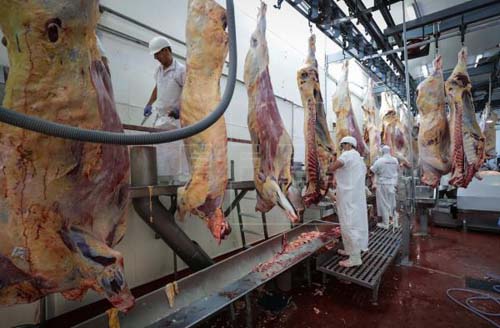 Argentina retoma exportação de carne bovina, mas com restrições