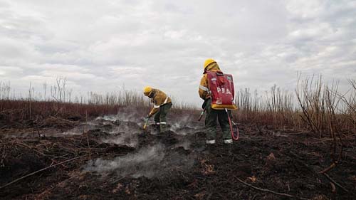 Incêndios comprometem zonas úmidas na Argentina e país enfrenta crise hídrica