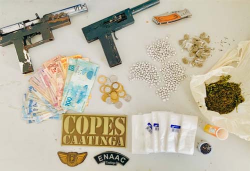 PM apreende diversas drogas e seis armas de fogo no interior