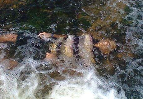 Jovens suspeitos em assaltos são encontrados mortos no interior de Alagoas