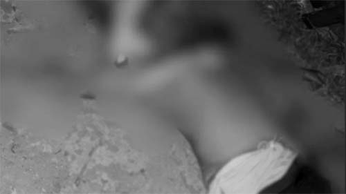 Conflito familiar termina com assassinato a facadas em União dos Palmares