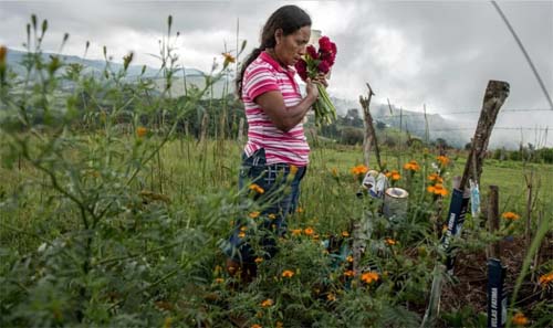 Ao menos 196 ativistas socioambientais foram mortos em 2023