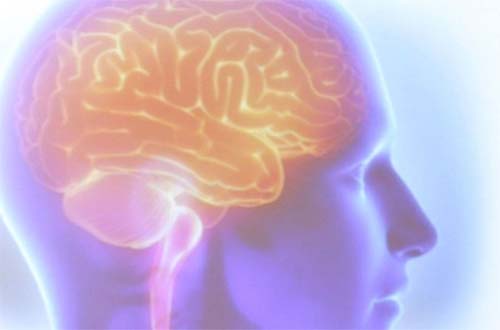 AVC: tempo de resposta e desigualdades regionais definem quem sobrevive e quem fica com sequelas