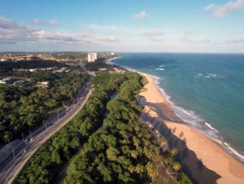 Monitoramento de manguezais na Região Hidrográfica do Pratagy contribui para a conservação da Mata Atlântica