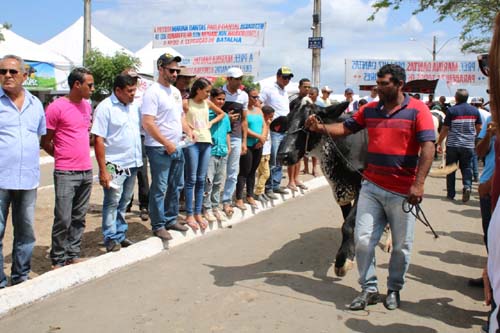 Expo Bacia vai fortalecer setor leiteiro do Nordeste