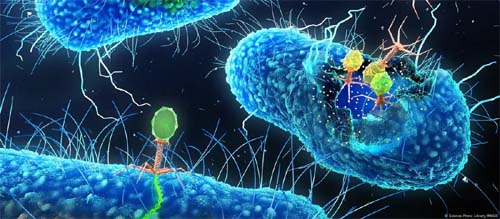 Resistência a antibióticos pode matar 39 milhões até 2050