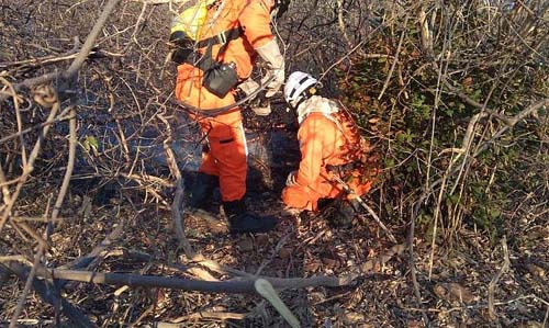 Governador da Bahia decreta emergência em 73 municípios por incêndios