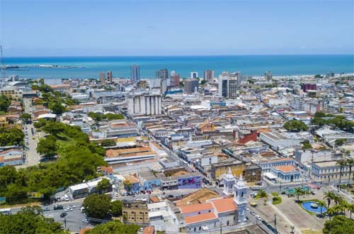Bairros de Maceió registram infestação do inseto 'barbeiro'; confira