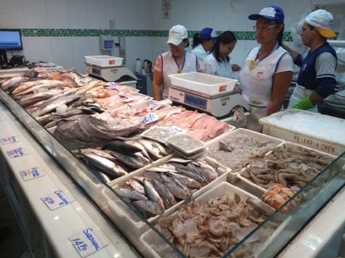 Representante dos pescadores de Alagoas diz que depois do óleo as vendas do pescado nunca mais foram as mesmas