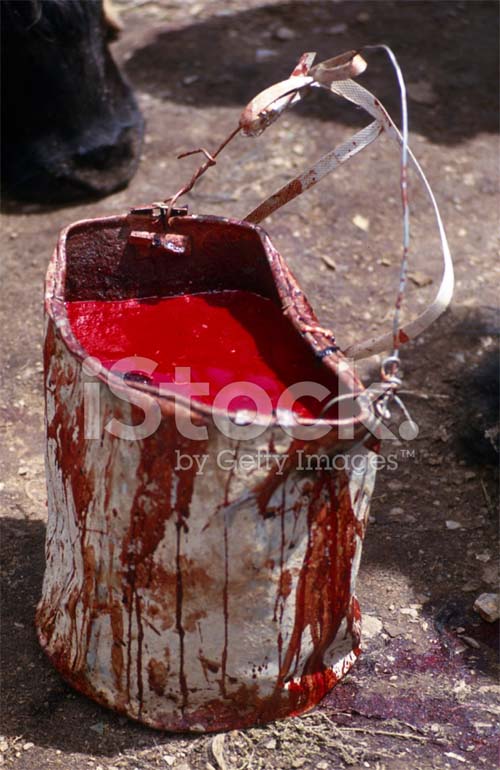 Suspeito de matar homem a facadas na Praça Lions enche balde com sangue da vítima