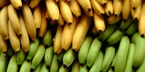 Banana previne câimbras e ajuda a diminuir o estresse