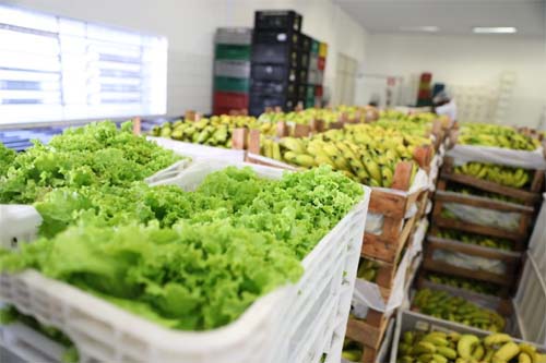 Projeto de lei cria o programa Banco de Alimentos de Alagoas