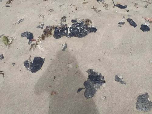 Óleo aparece em Milagres e Barra de Santo Antônio