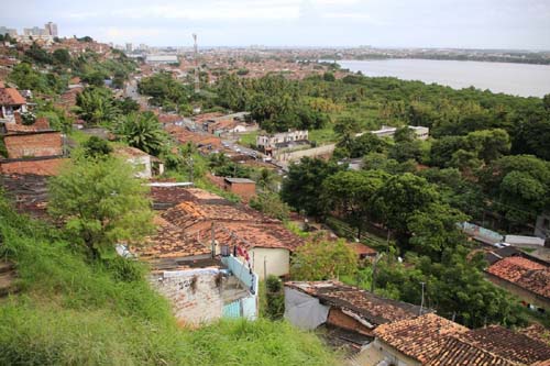 Bairros que afundam podem virar floresta