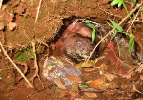 Em Palmeira dos Índios bebê é enterrada viva e sobrevive