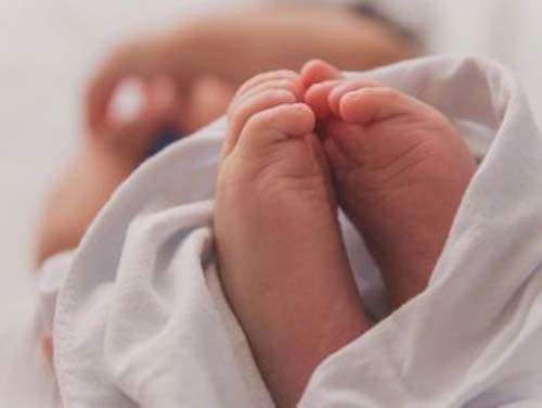 Polícia conclui que bebê nascido morto foi descartado em lixo hospitalar de maternidade