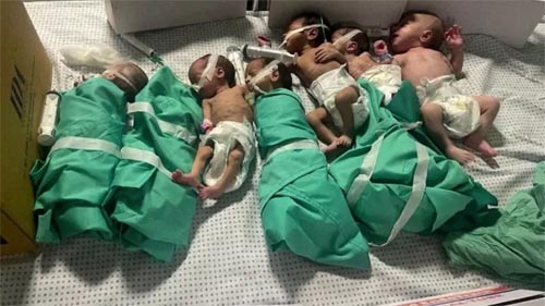 As dramáticas condições de 36 bebês prematuros que lutam para sobreviver no hospital Al Shifa de Gaza após invasão de Israel