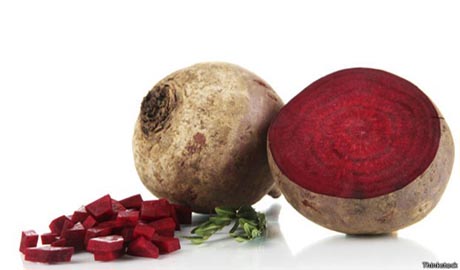 Para estudo, proteína de beterraba pode substituir sangue humano