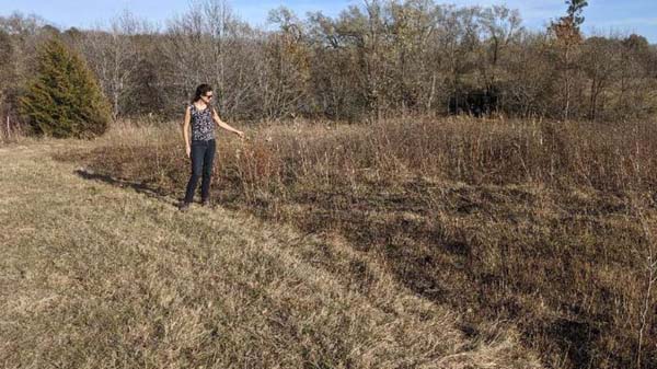 Fuga de cérebros: os doutores que preferiram deixar o Brasil para continuar pesquisas em outro país