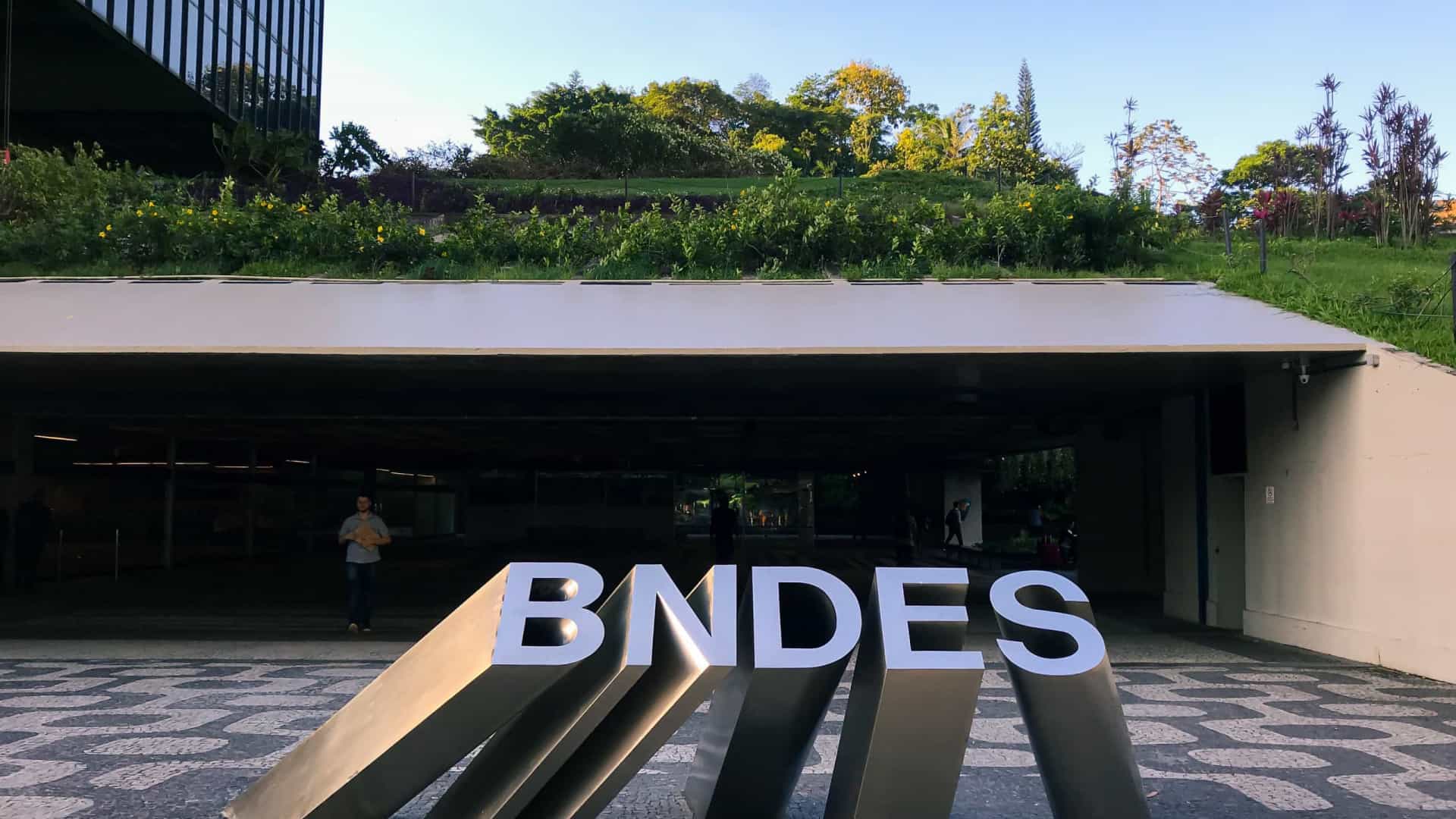 BNDES quer arrecadar R$ 500 mi para restaurar florestas nativas