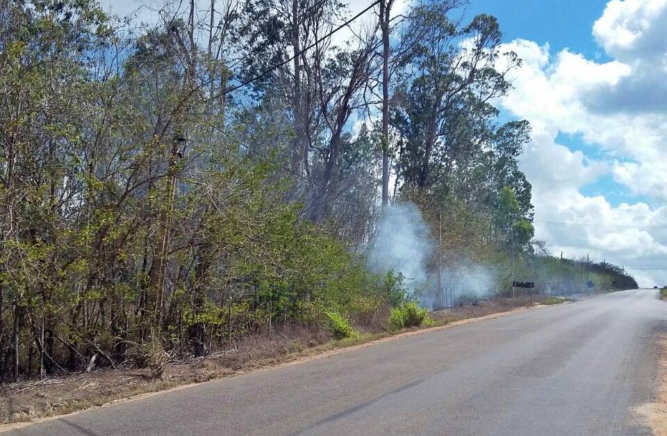 Incêndio destrói área de preservação ambiental em Boca da Mata