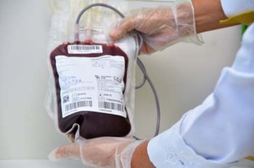 Estoque de sangue do Hemoal está com déficit de 71%